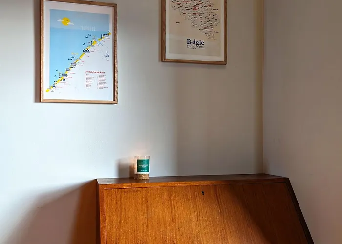 公寓 Casiola - Penthouse With Big Terrace And Sea View 奥斯滕德